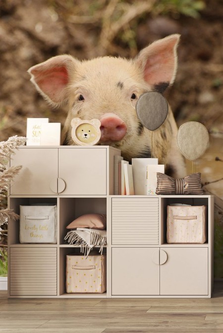 Image de Cute little piglet