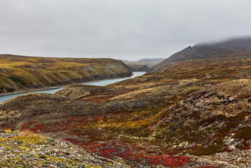 Picture of Autumn tundra in fog and river Amguema Arctic Circle Russia