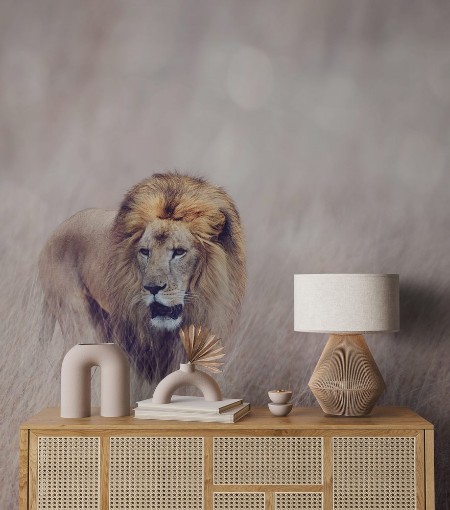 Image de Lion