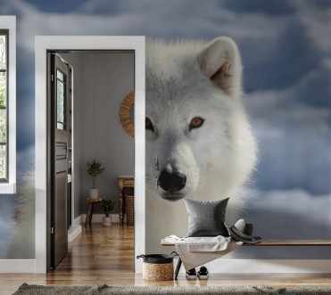Afbeeldingen van Portrait du loup arctique