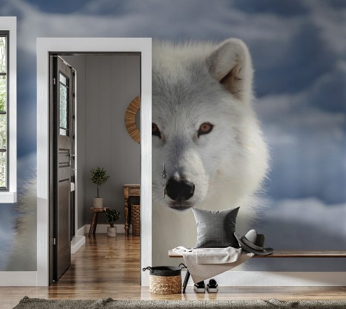 Image de Portrait du loup arctique