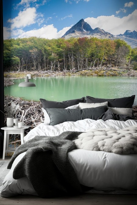 Picture of Beaver dam at Tierra del Fuego