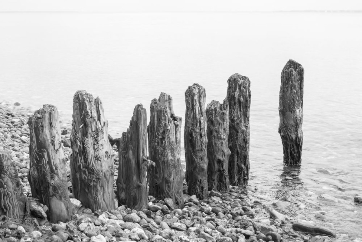 Afbeeldingen van Weathered wooden groin at beach