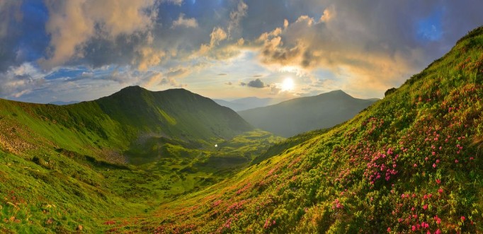 Image de Mountains and flowers