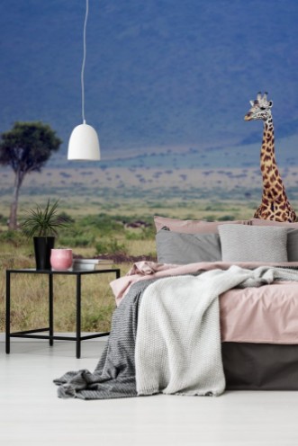 Afbeeldingen van Wild giraffe in the Masai Mara