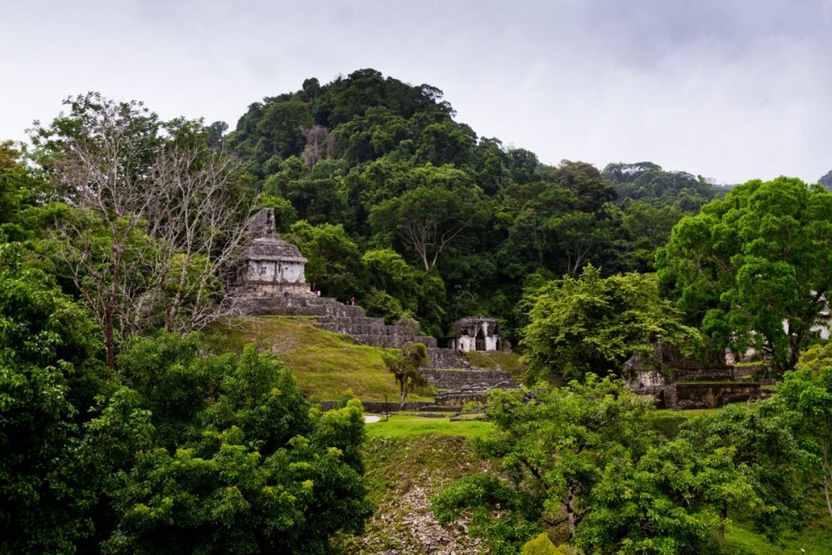 Image de Mayan ruins in Palenque Chiapas Mexico Palace and observatory