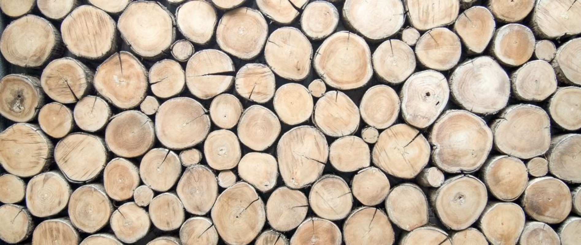 Bild på Wallpaper wood log