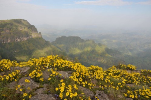 Picture of Simien mointains park