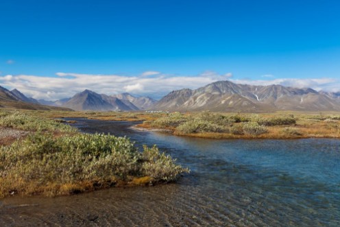 Picture of Colorful tundra in front of the river and mountains Russia