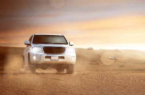 Bild på Offroad Cars in the Desert