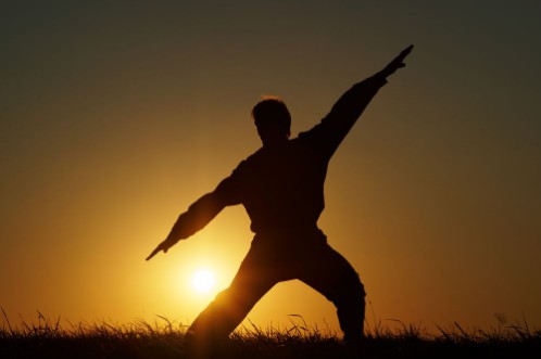 Picture of Silhouette of man with extended arms in a fighting stance on a grassy horizon against the setting sun