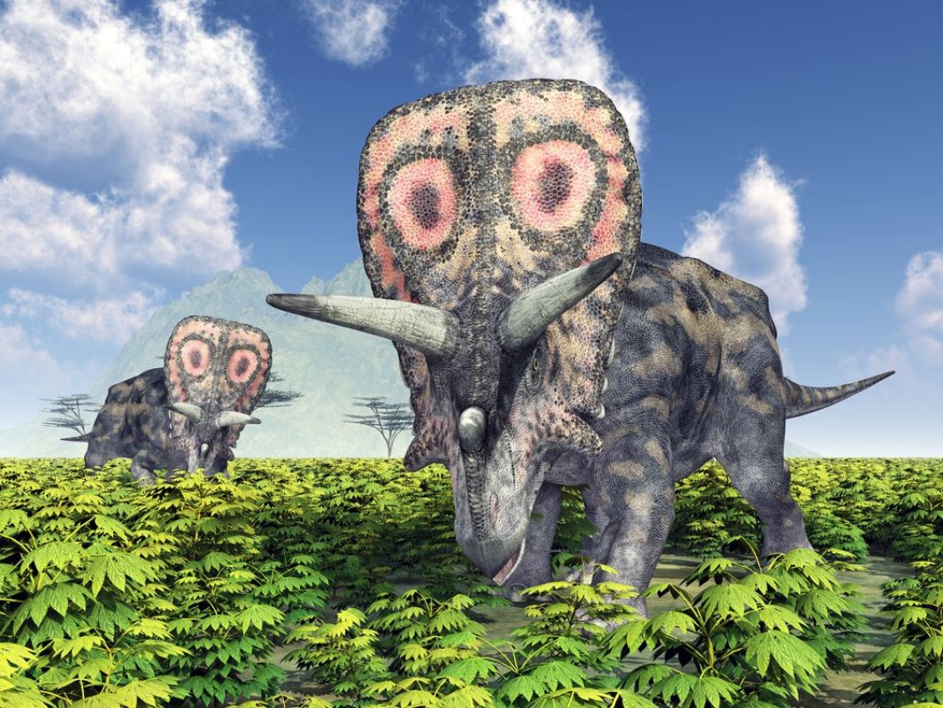 Afbeeldingen van Dinosaur Torosaurus