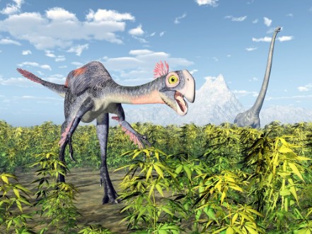 Afbeeldingen van The dinosaurs Gigantoraptor and Mamenchisaurus