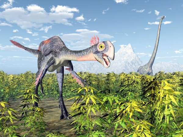 Picture of The dinosaurs Gigantoraptor and Mamenchisaurus