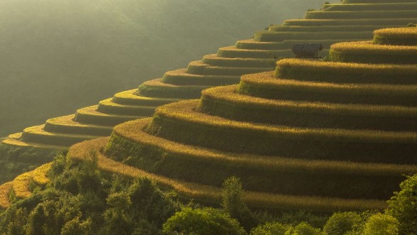 Afbeeldingen van Beautiful Rice Terraces South East Asia