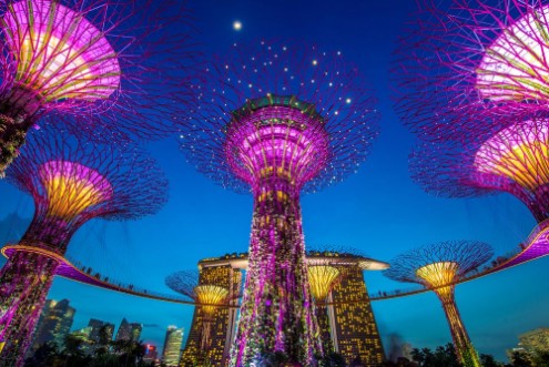 Image de Supertrees at Gardens by the Bay