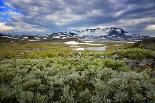 Afbeeldingen van Tundra Jotunheim Norway