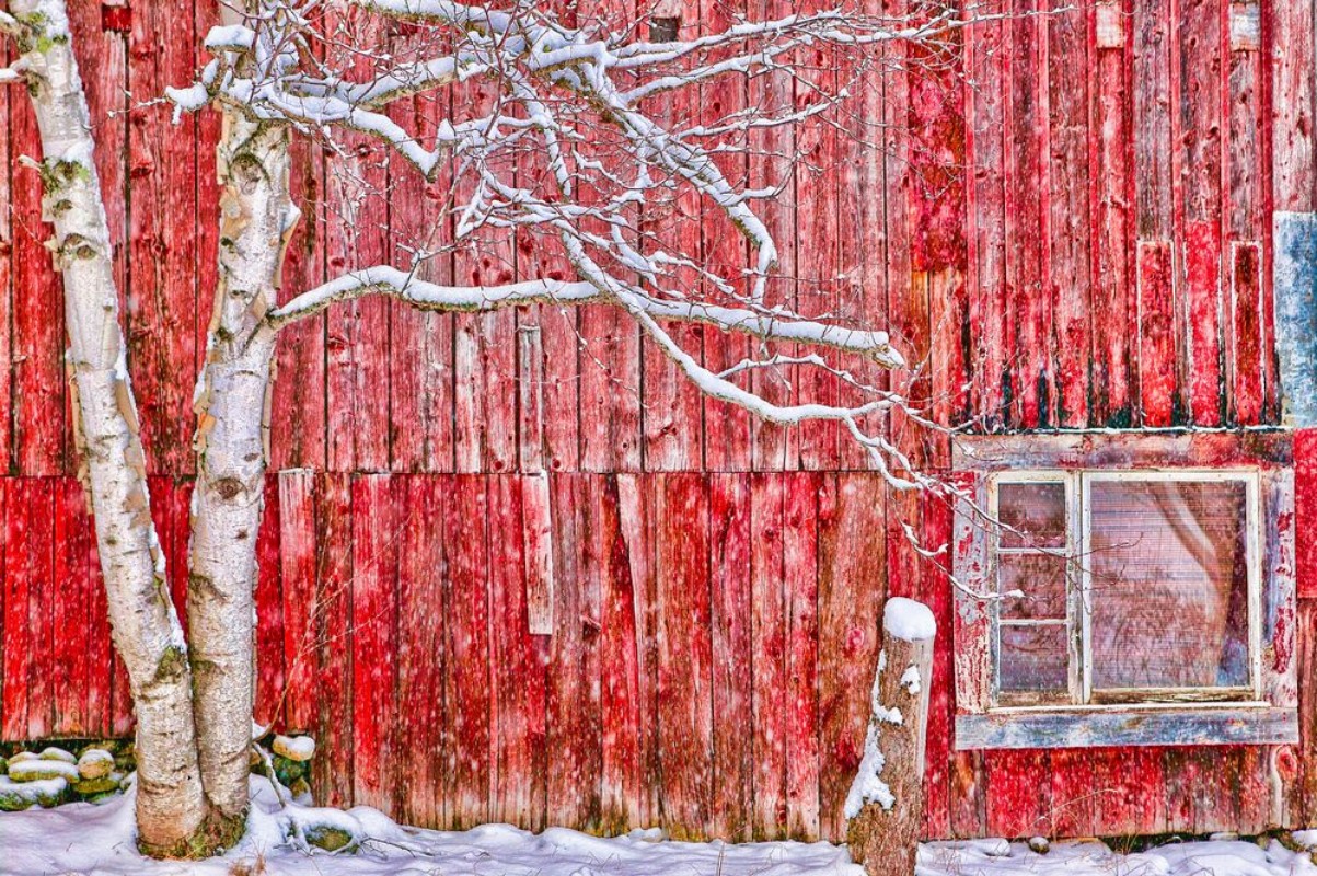 Afbeeldingen van Digitally altered red barn