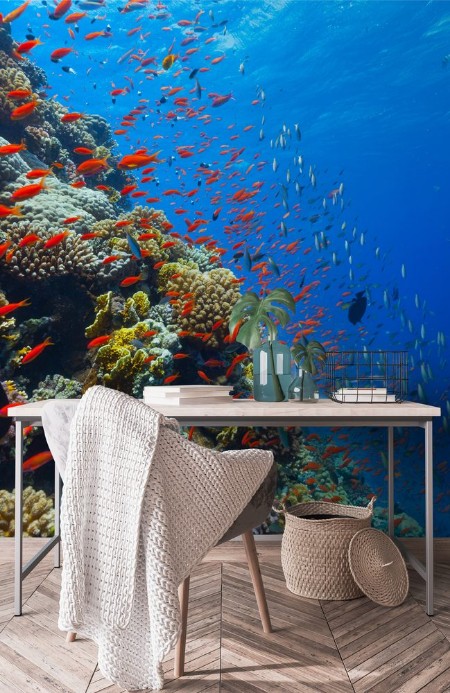 Bild på Underwater coral reef