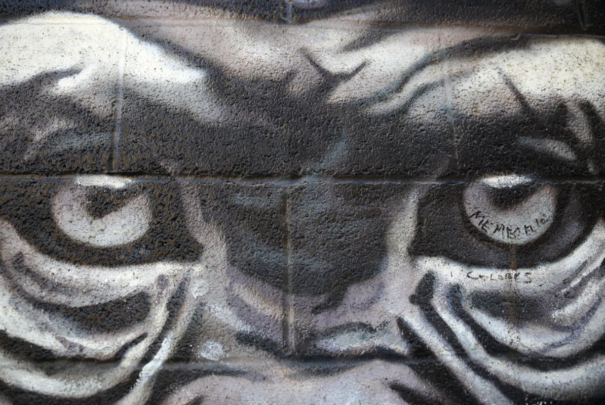 Afbeeldingen van Monkey eyes-graffiti-beasain