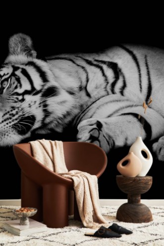 Afbeeldingen van Black  white tiger sleep on ones side isolated on black backgr