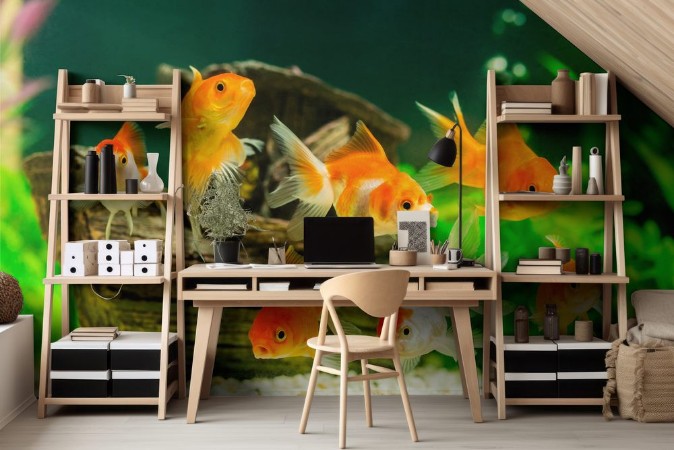 Afbeeldingen van Goldfish in aquarium with green plants