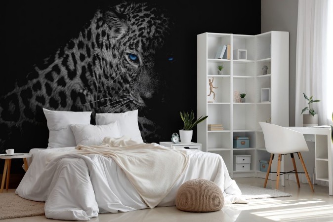 Bild på Black  white Leopard portrait isolate on black background