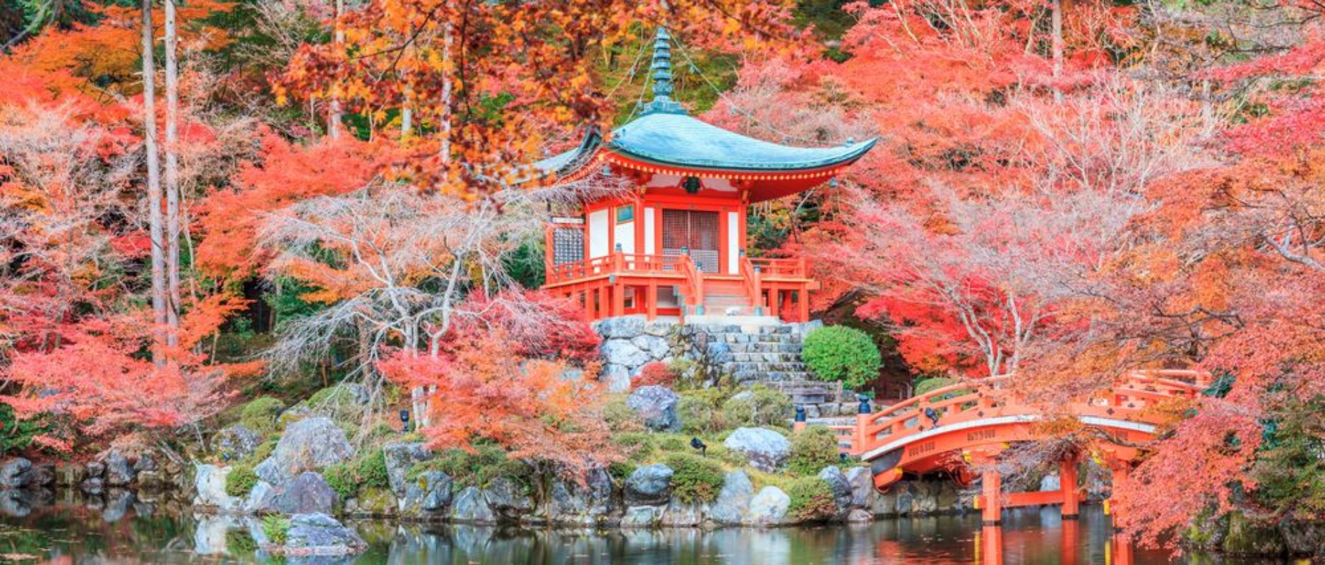 Picture of The leave change color of red in Temple japan