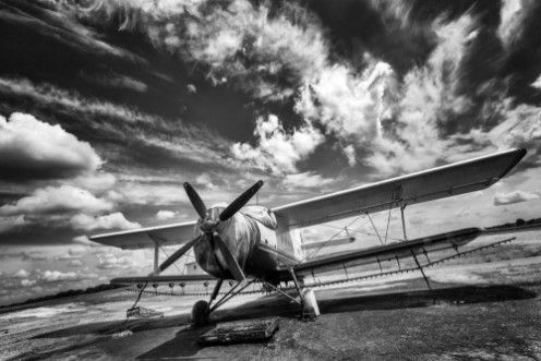 Afbeeldingen van Old airplane on field in black and white