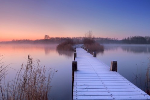 Afbeeldingen van Boardwalk on a lake at dawn in winter The Netherlands