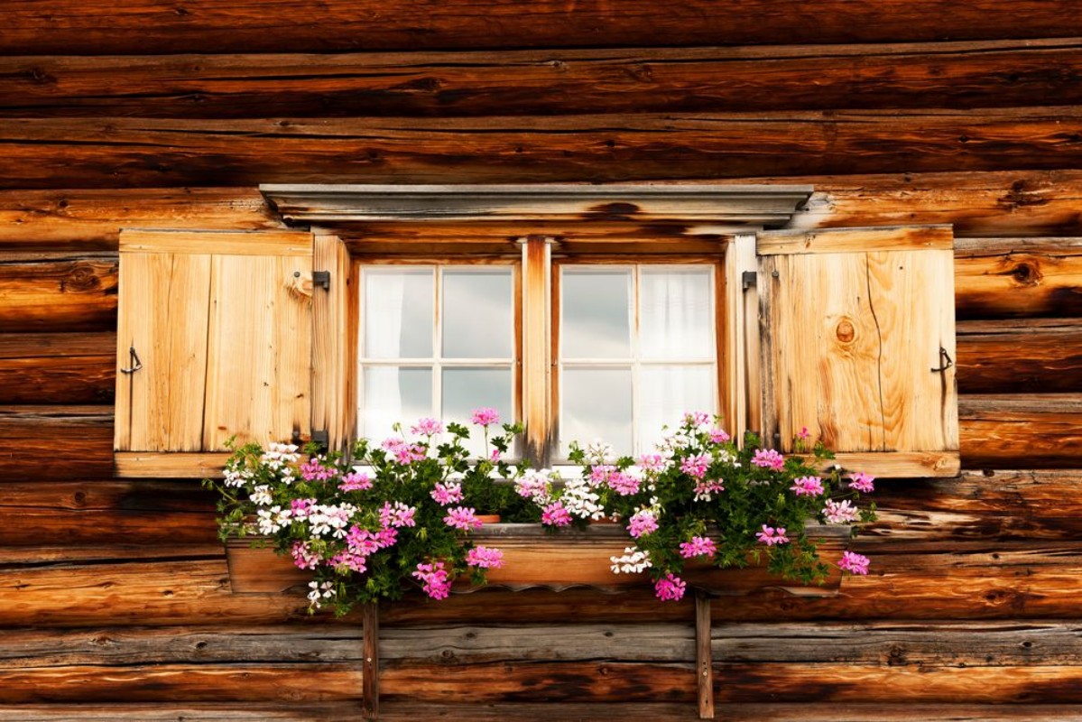 Afbeeldingen van Blumenfenster auf der Alm