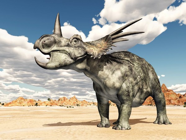 Afbeeldingen van Dinosaur Styracosaurus
