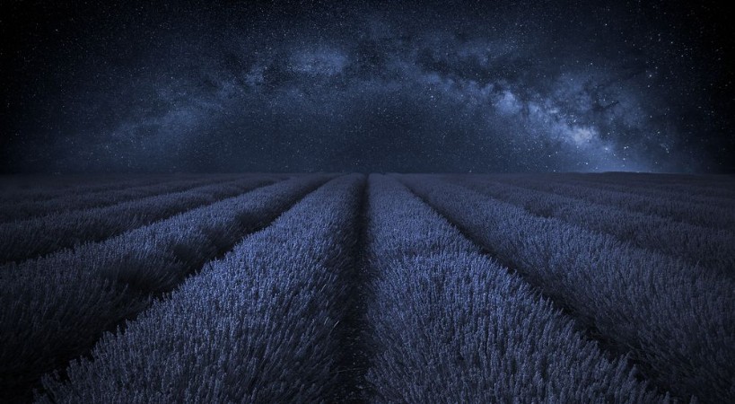 Picture of Stunning lavender field landscape with clear Milky Way galaxy in