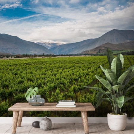 Bild på Spring Vineyard Elqui Valley Andes Chile