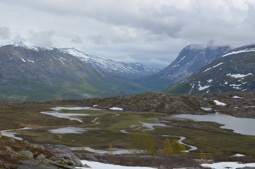 Afbeeldingen van Subarctic tundra in Norwegian mountains northern Scanned