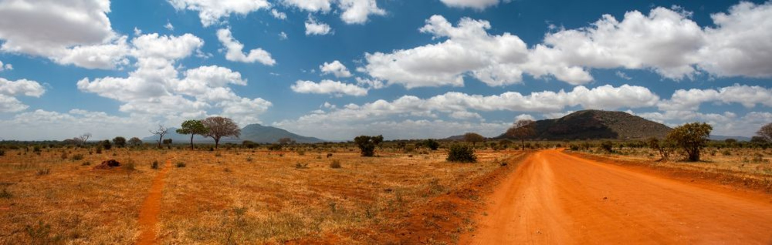 Bild på Landscape of Tsavo East Kenya
