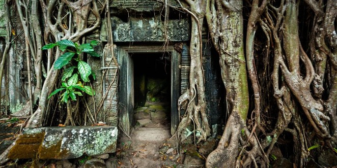 Bild på Ancient stone door and tree roots Ta Prohm temple