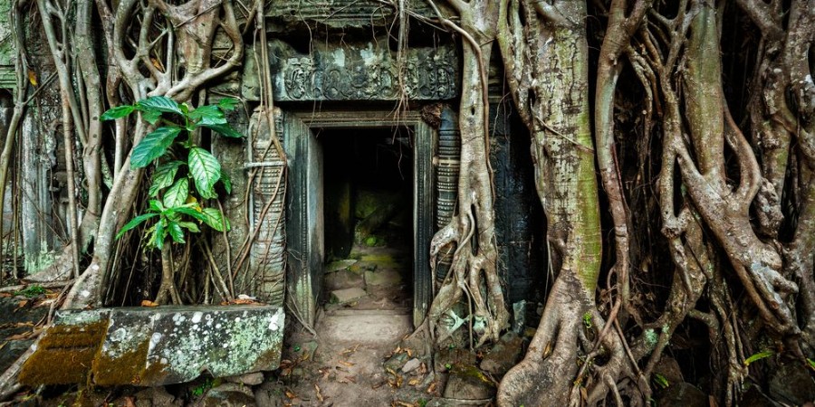 Picture of Ancient stone door and tree roots Ta Prohm temple