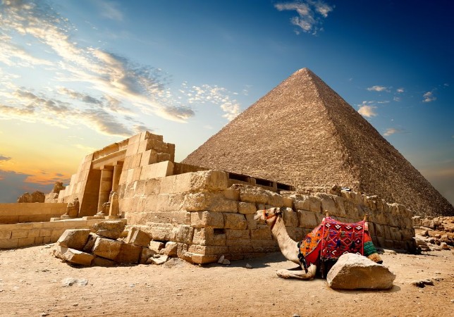 Image de Camel near ruins