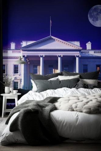 Image de Digital composite The White House Washington DC and full moon