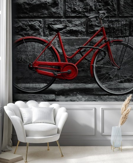 Picture of Retro vintage red bike on black and white wall