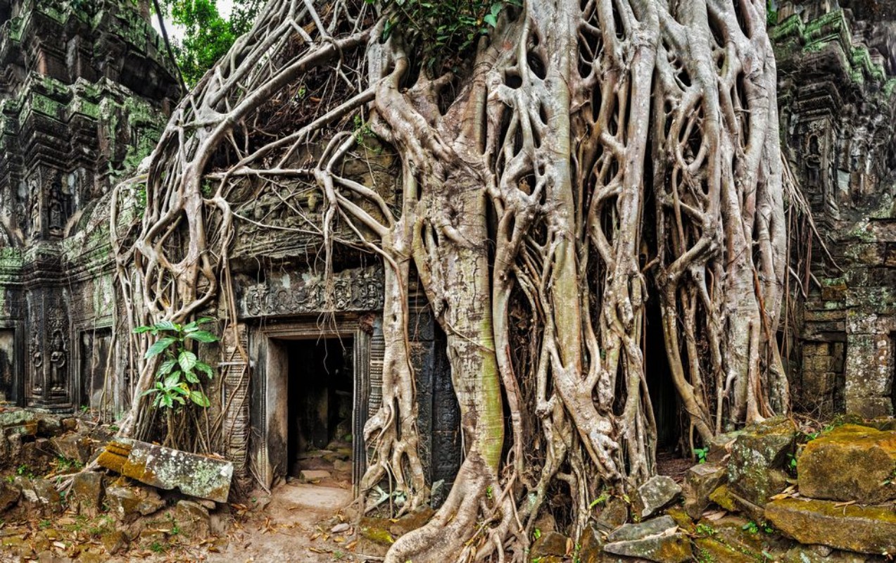 Bild på Ancient stone door and tree roots Ta Prohm temple Angkor Camb