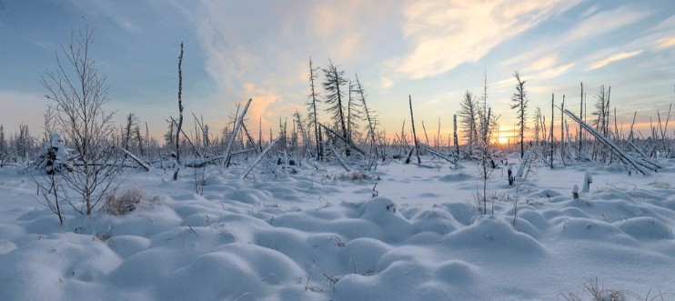 Image de Panorama of the winter landscape of taiga the Yamal Peninsula