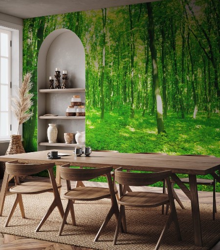 Bild von Beautiful green forest