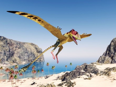 Picture of Pterosaur Peteinosaurus