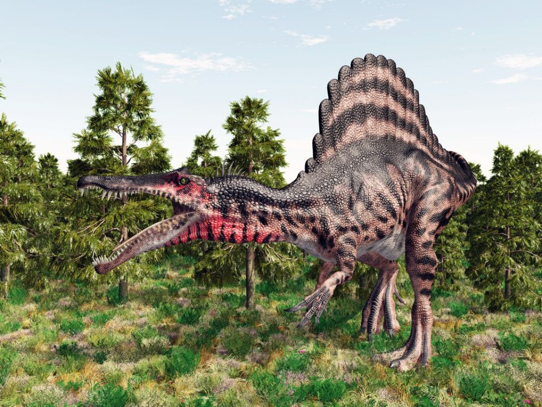 Afbeeldingen van Dinosaur Spinosaurus