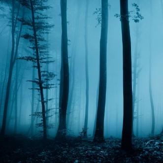 Bild på Magic foggy turquoise blue light color forest scene background