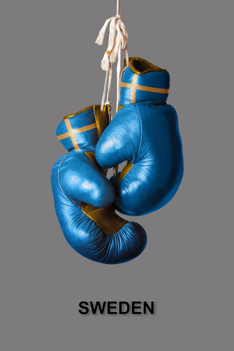Image de Boxing Gloves in the Color of Sweden