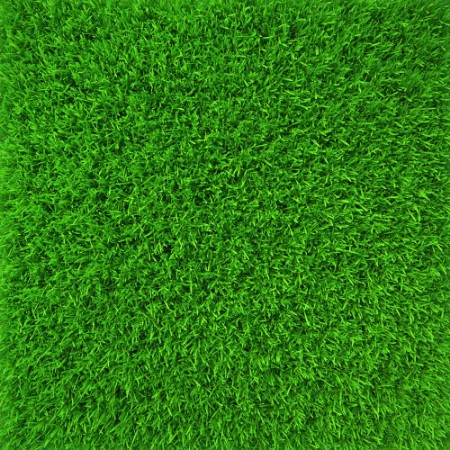 Bild på Green lawn grass background texture close-up 3d render