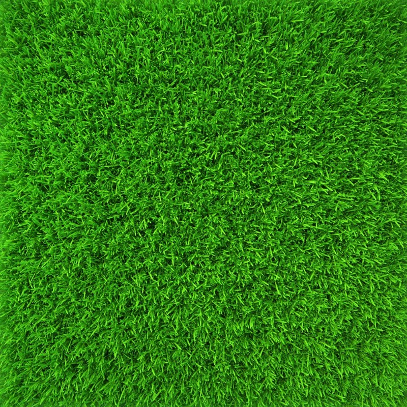 Picture of Green lawn grass background texture close-up 3d render